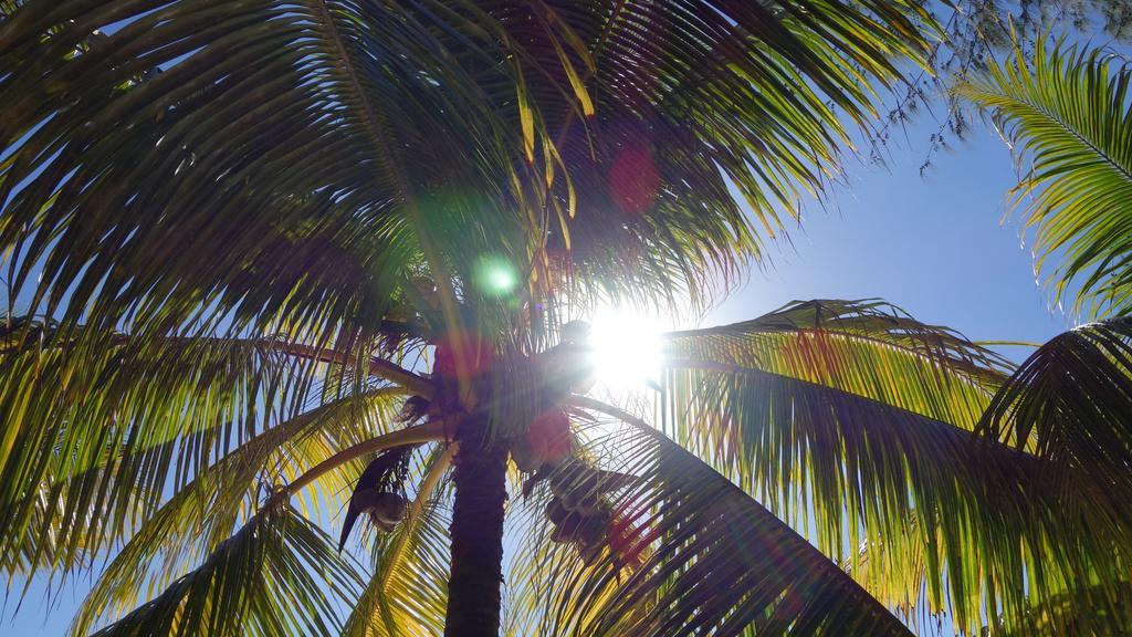 Vila Coconuts Grand Bay Exteriér fotografie